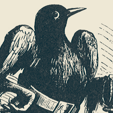 un oiseau noir en tenue de noble avec un air bête